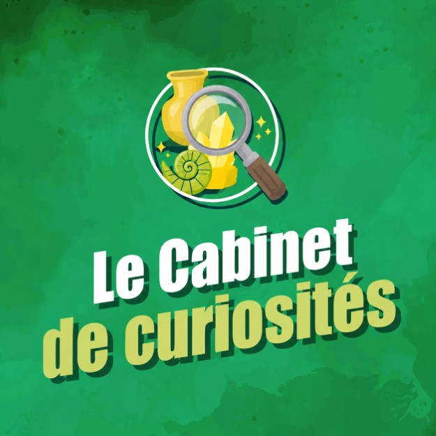 Le Cabinet de curiosités